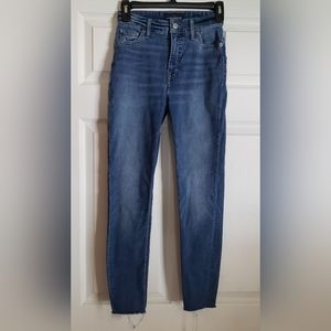 Lucky Brand Bridgette Skinny Jeans Size 0/25